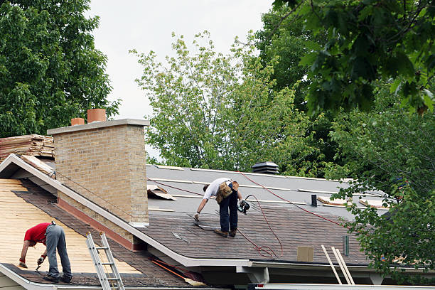 Roof Moss and Algae Removal in Mitchell, IL